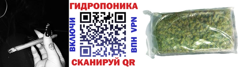 Купить закладку Куртамыш СК  МДМА  MEGA ТОР  Бошки Шишки  ГАШ  КОКАИН  Мефедрон 