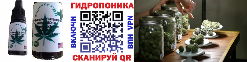 где купить наркотик  Куртамыш  Cannafood марихуана 