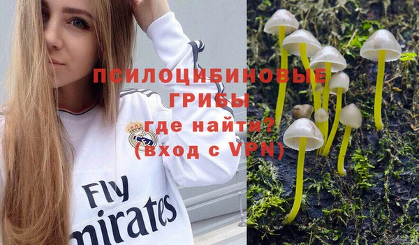 шишки Баксан