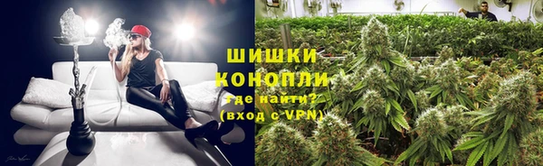 spice Арсеньев