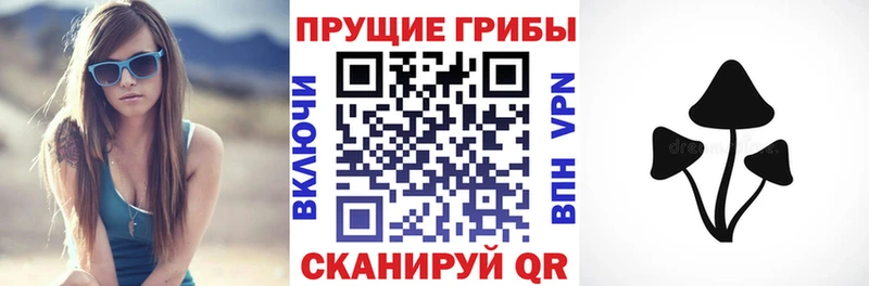 купить наркотики сайты  Куртамыш  Псилоцибиновые грибы MAGIC MUSHROOMS 